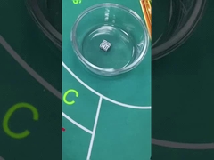 8 / 10 / 12mm Precision Dice Plastic 16mm White Dice Wireless Induction Dice