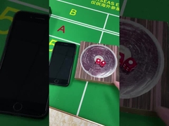 Plastic 12mm / 16mm Dice Set Gamble Casino Game Dice With Animal Print