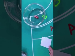 Plastic 12mm / 16mm Dice Set Gamble Casino Game Dice With Animal Print